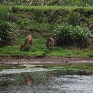 Martiens & Linda Bekker Wedding 031